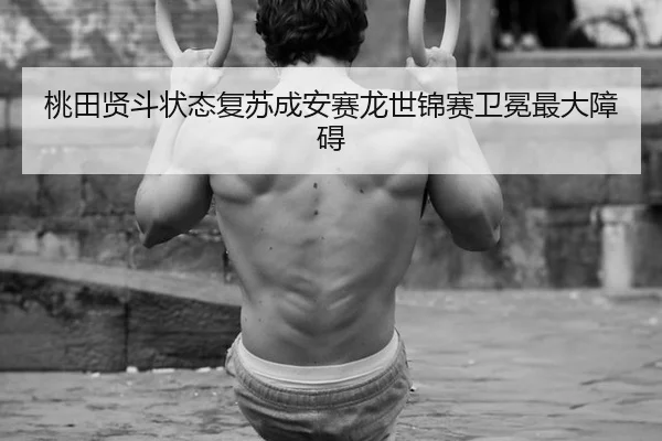 tao-tian-xian-dou-zhuang-tai-fu-su-cheng-an-sai-long-shi-jin-sai-wei-mian-zui-da-zhang-ai-2-917.jpg