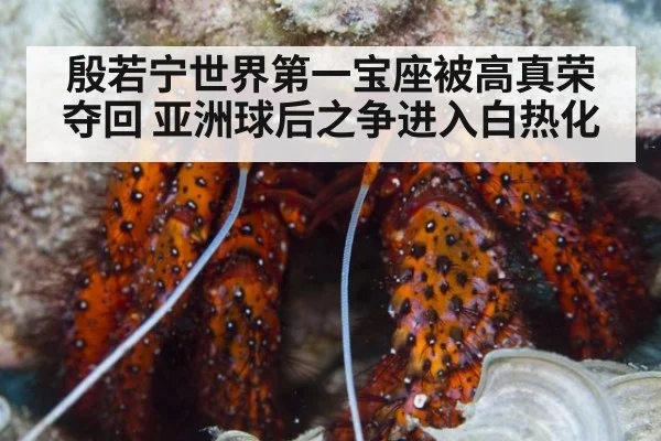 殷若宁世界第一宝座被高真荣夺回 亚洲球后之争进入白热化