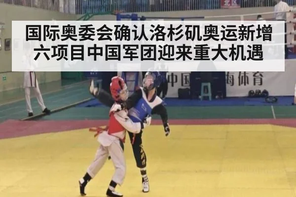 国际奥委会确认洛杉矶奥运新增六项目中国军团迎来重大机遇