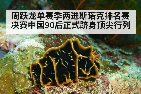 周跃龙单赛季两进斯诺克排名赛决赛中国90后正式跻身顶尖行列